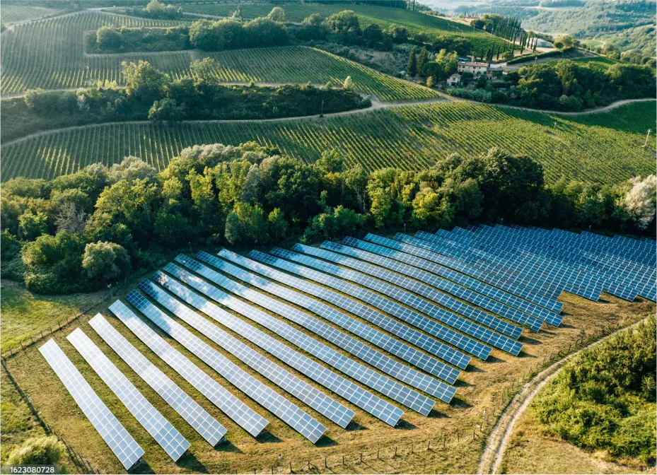 Solar panel farm in rural landscape with vineyards and green fields